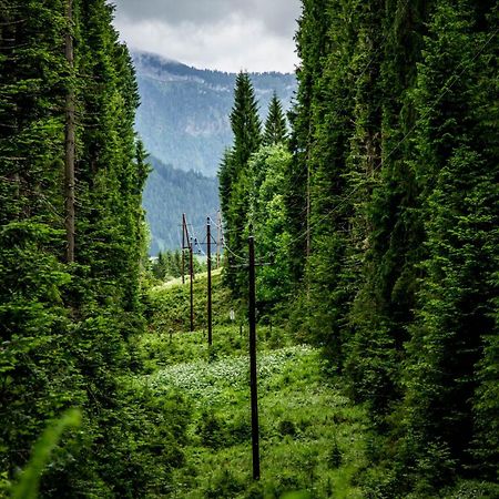 Gluexplatzl Appartements Am Wald Sankt Martin am Tennengebirge Exteriér fotografie