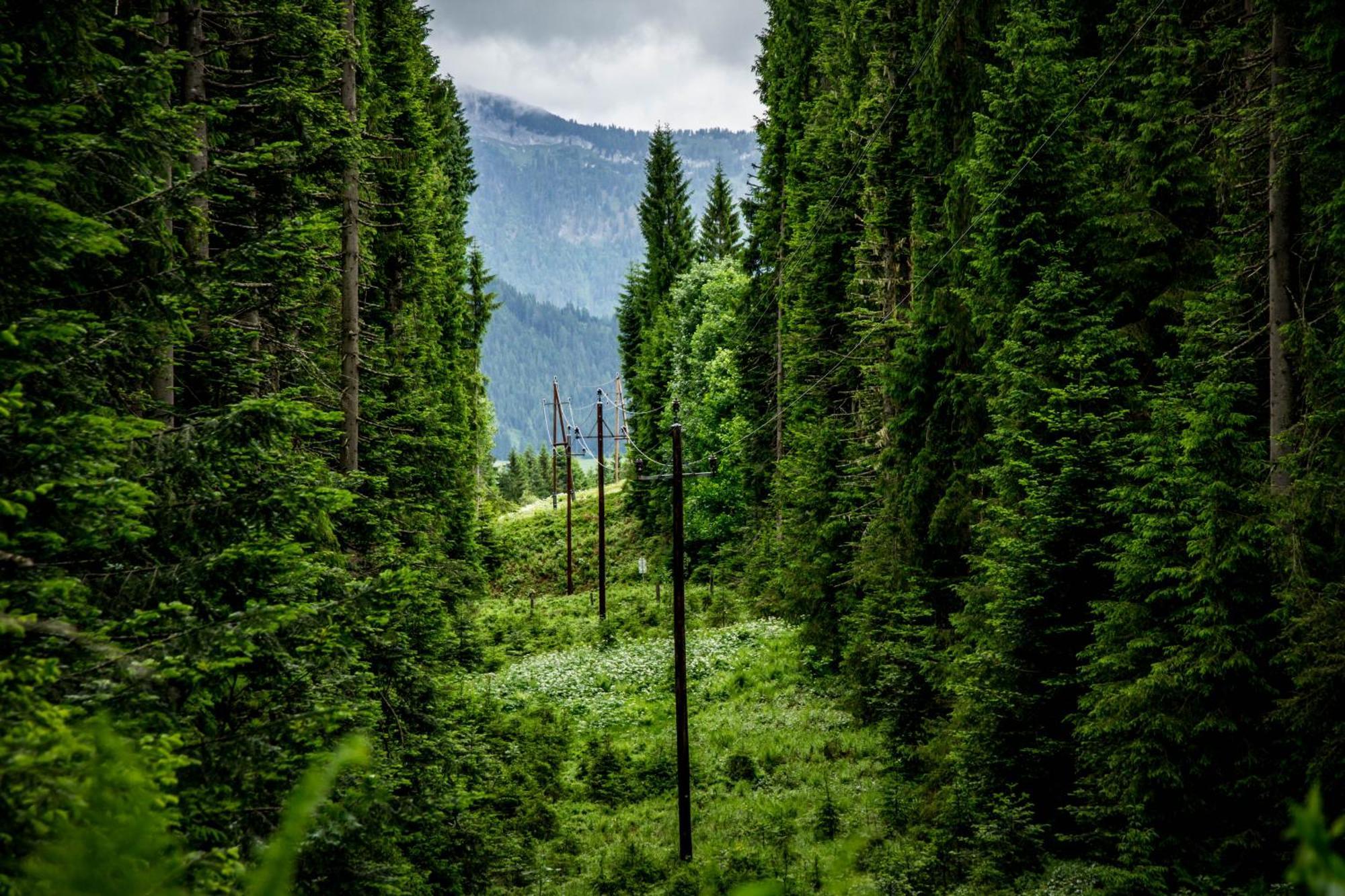 Gluexplatzl Appartements Am Wald Sankt Martin am Tennengebirge Exteriér fotografie